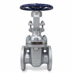 Industrial API Cast Steel Gate Valve