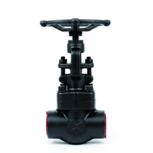 Forged Steel Gate Valve