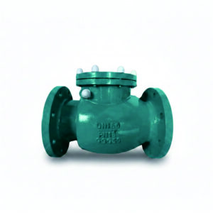 Swing Check Valve (Flanged Type)
