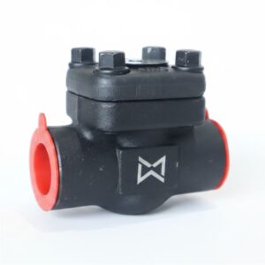 High Pressure Forged Steel Check Valve