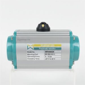 Pneumatic actuator