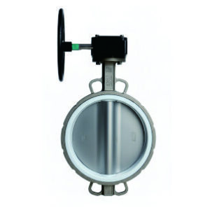 Butterfly Valve Wafer PTFE Lined SS316
