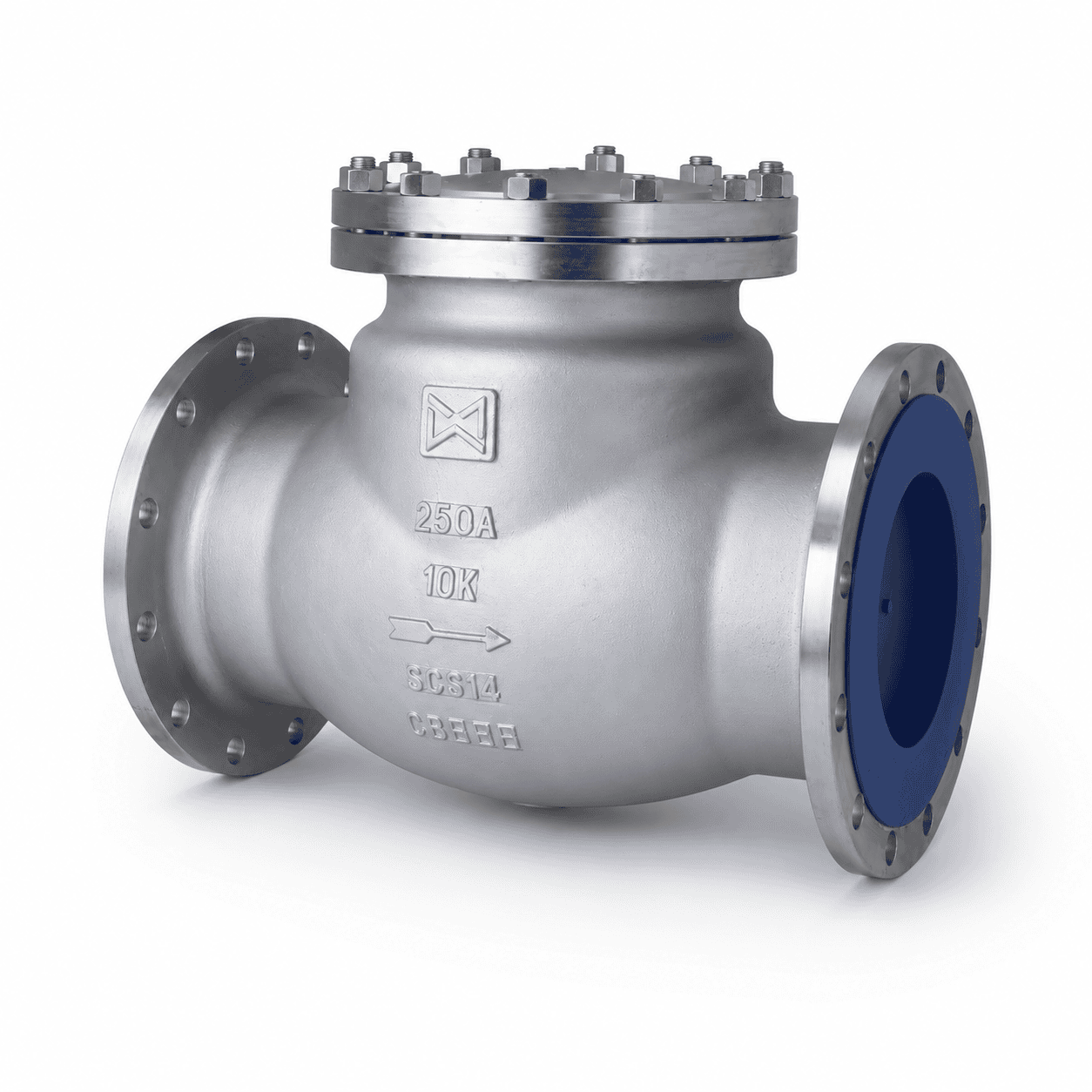 Check Valve