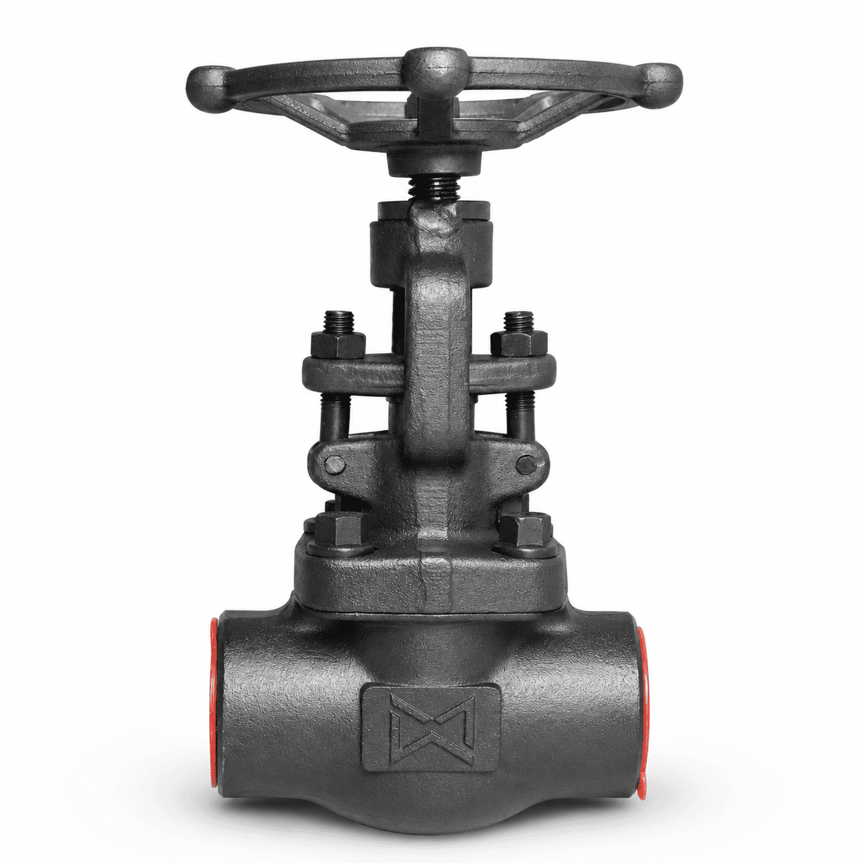 Globe Valve