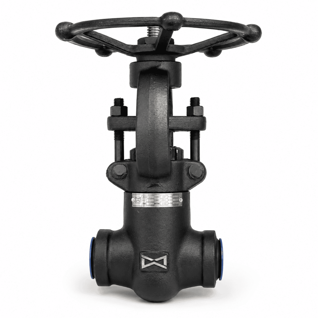 Globe Valve