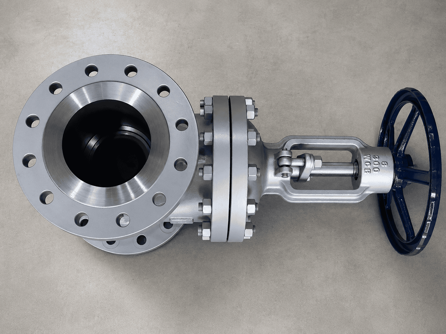 API Cast Steel OS&Y Gate Valve Class 300 Product View
