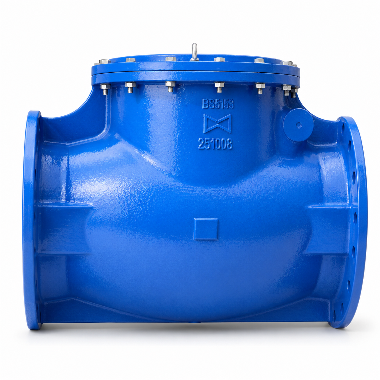 Check Valve