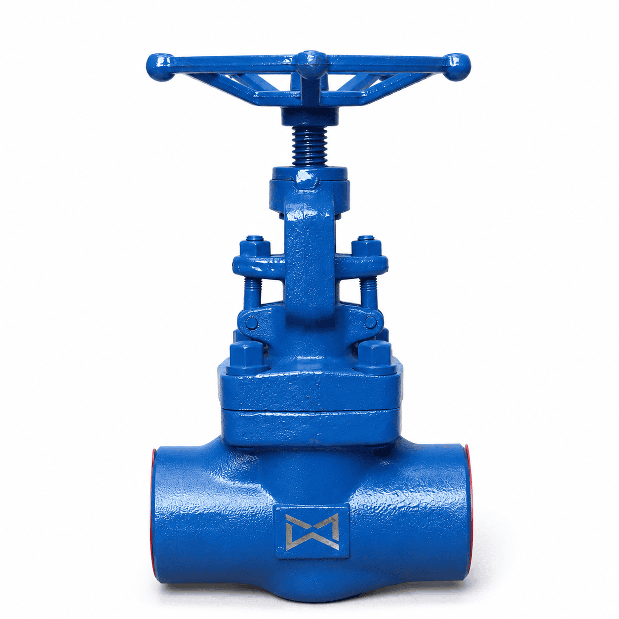 Globe Valve