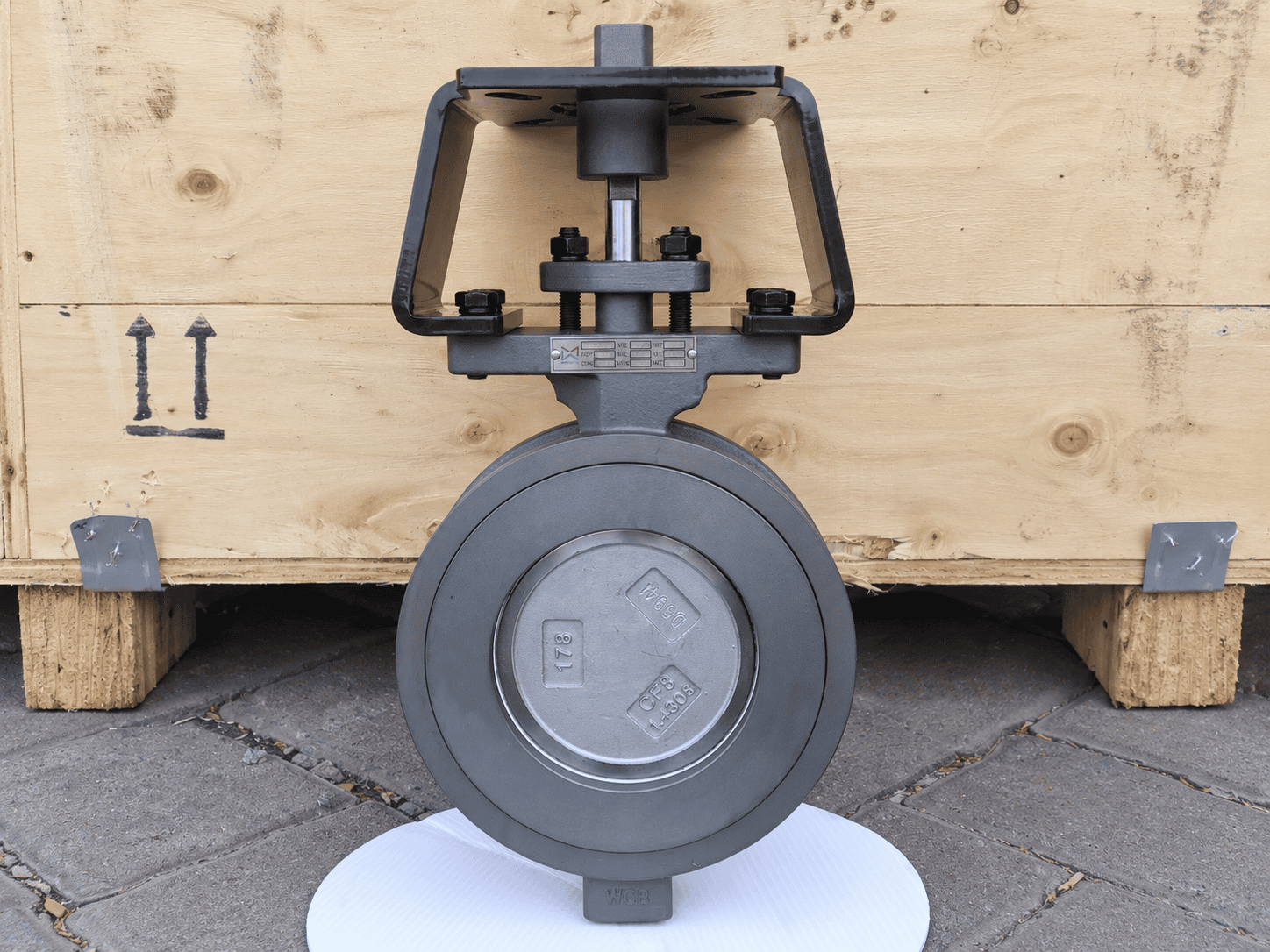 WEISSMILLER Double Eccentric Butterfly Valve WCB Front View