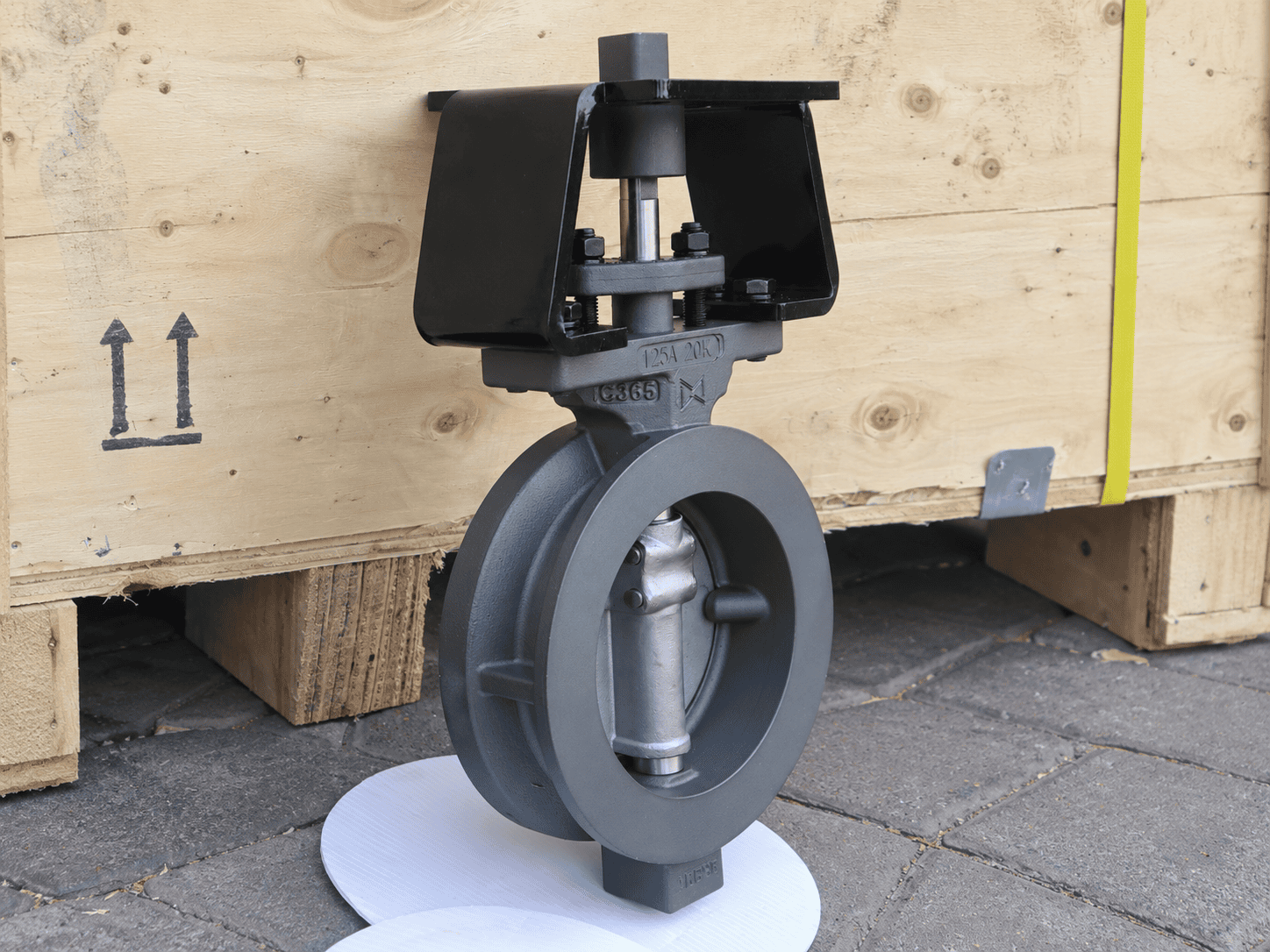 WEISSMILLER Double Eccentric Butterfly Valve WCB Open Disc View