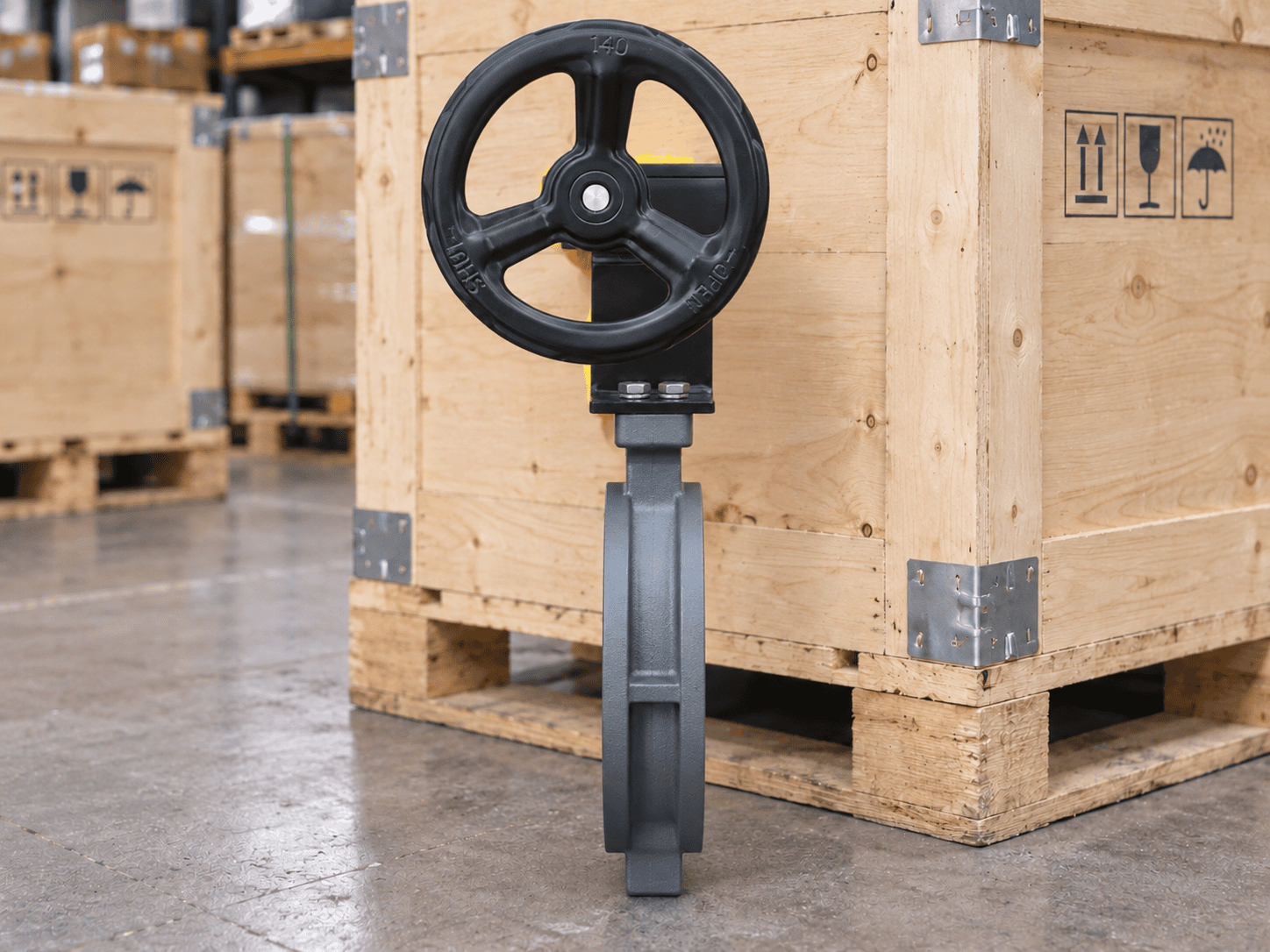 WEISSMILLER Double Eccentric Butterfly Valve WCB Disc Detail