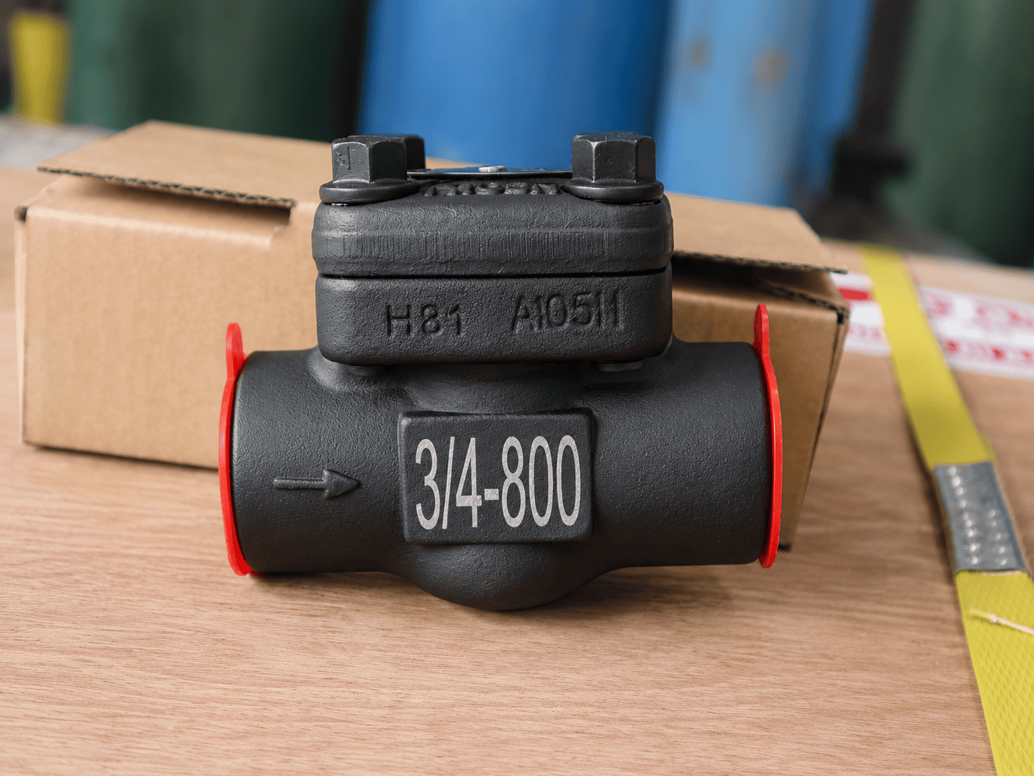 Forged Steel Piston Check Valve Nameplate Detail