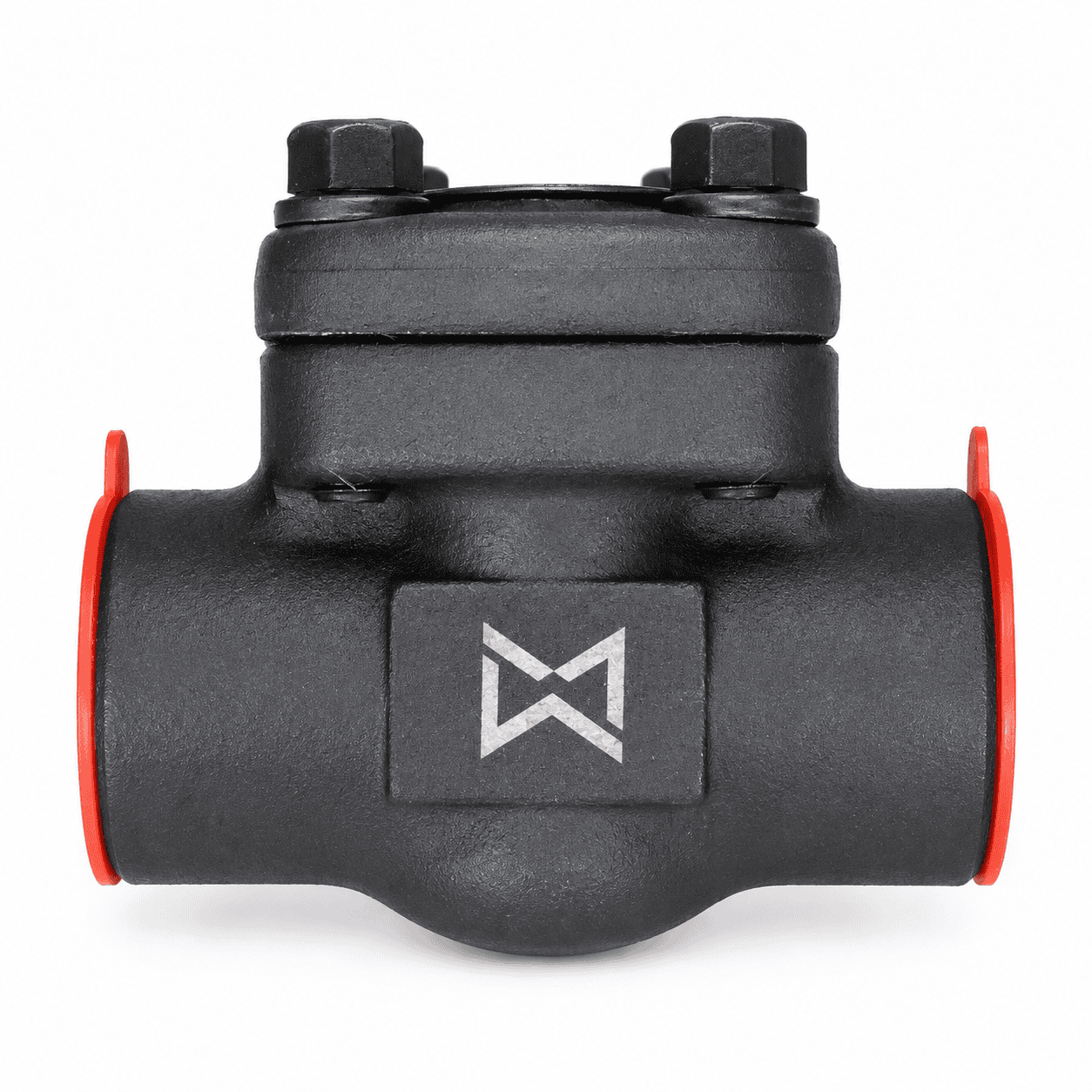 Check Valve
