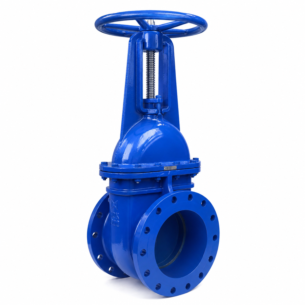 Ductile Iron BB OS&Y Gate Valve JIS 10K
