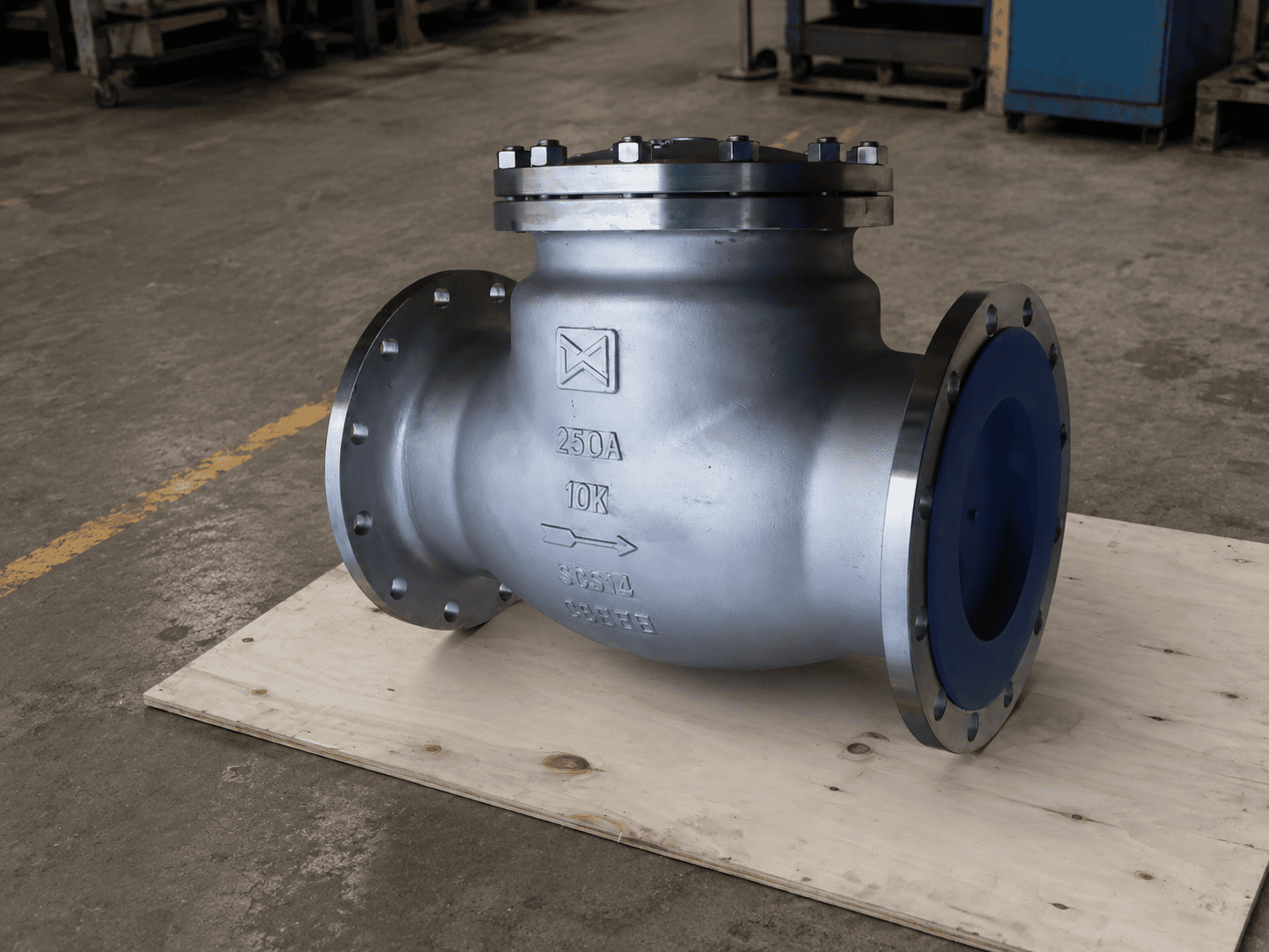 Stainless Steel Flanged Swing Check Valve Body View