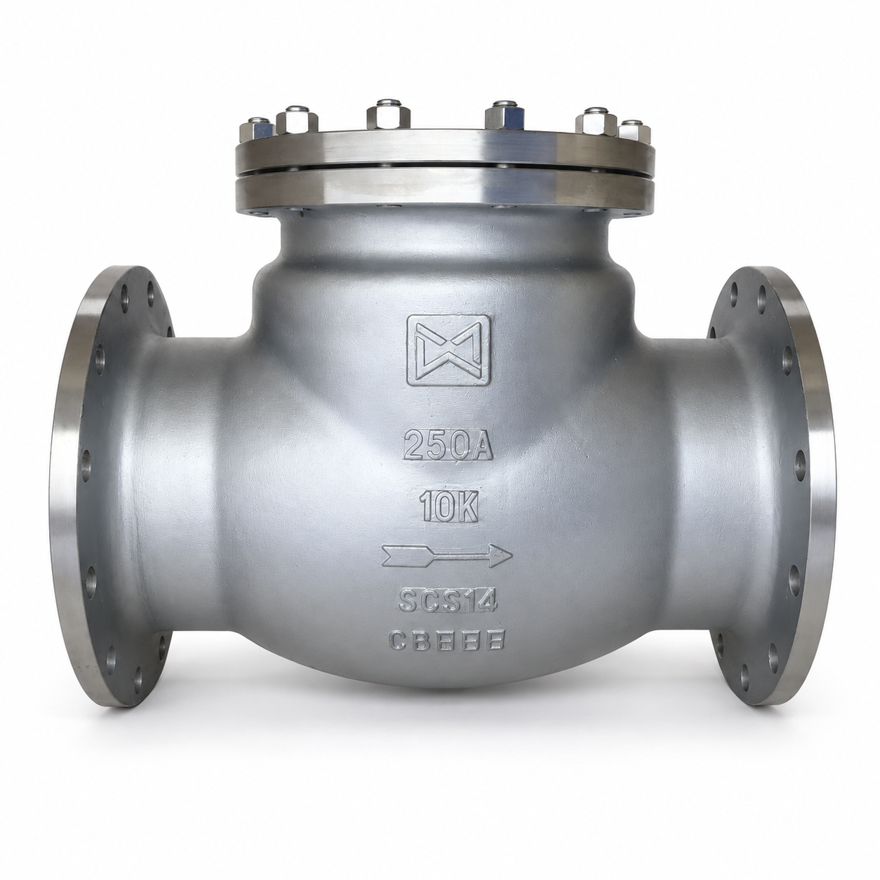 Check Valve